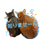 Johnny ＆ Chocola ❷（個別スタンプ：15）