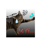 Johnny ＆ Chocola ❷（個別スタンプ：16）