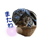 Johnny ＆ Chocola ❷（個別スタンプ：19）