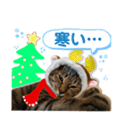 Johnny ＆ Chocola ❷（個別スタンプ：24）