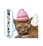 Johnny ＆ Chocola ❷（個別スタンプ：27）