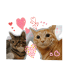 Johnny ＆ Chocola ❷（個別スタンプ：30）