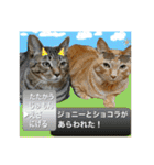 Johnny ＆ Chocola ❷（個別スタンプ：33）