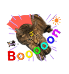 Johnny ＆ Chocola ❷（個別スタンプ：34）