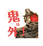Johnny ＆ Chocola ❷（個別スタンプ：36）