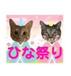 Johnny ＆ Chocola ❷（個別スタンプ：37）
