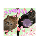Johnny ＆ Chocola ❷（個別スタンプ：38）