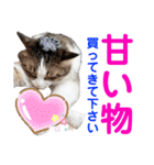 ねこさんお願いスタンプ（個別スタンプ：8）