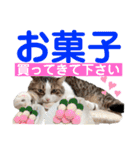 ねこさんお願いスタンプ（個別スタンプ：18）