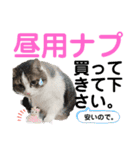 ねこさんお願いスタンプ（個別スタンプ：22）