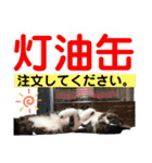 ねこさんお願いスタンプ（個別スタンプ：25）
