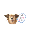 Love♡Loveちゃん（個別スタンプ：7）