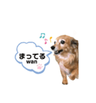 Love♡Loveちゃん（個別スタンプ：8）