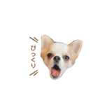 どうも、れおとびびです（個別スタンプ：2）