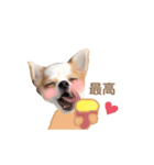 どうも、れおとびびです（個別スタンプ：3）