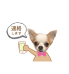 どうも、れおとびびです（個別スタンプ：4）