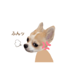どうも、れおとびびです（個別スタンプ：5）