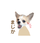 どうも、れおとびびです（個別スタンプ：8）