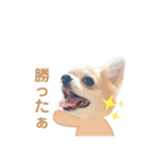どうも、れおとびびです（個別スタンプ：10）
