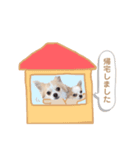 どうも、れおとびびです（個別スタンプ：13）