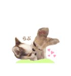 どうも、れおとびびです（個別スタンプ：14）