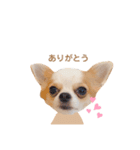 どうも、れおとびびです（個別スタンプ：15）