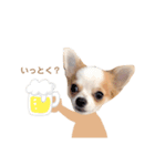 どうも、れおとびびです（個別スタンプ：16）