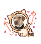 ジュラジュララリ～（個別スタンプ：1）