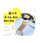 ジュラジュララリ～（個別スタンプ：2）