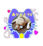 ジュラジュララリ～（個別スタンプ：6）
