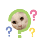 うゆすた（個別スタンプ：3）