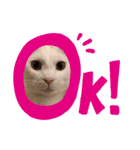 うゆすた（個別スタンプ：5）