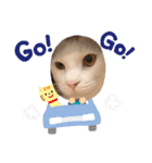 うゆすた（個別スタンプ：7）
