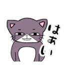 ダル猫 ちー ～よく使う～（個別スタンプ：3）