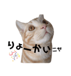 ふぁんとむ2021 p1（個別スタンプ：4）