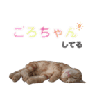 ふぁんとむ2021 p1（個別スタンプ：11）