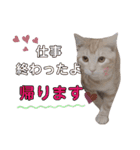 ふぁんとむ2021 p1（個別スタンプ：12）