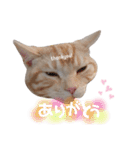 ふぁんとむ2021 p1（個別スタンプ：17）