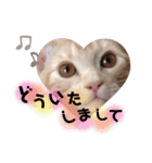 ふぁんとむ2021 p1（個別スタンプ：18）