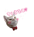 ふぁんとむ2021 p1（個別スタンプ：21）