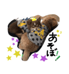 川村家の犬たち（個別スタンプ：20）