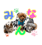 川村家の犬たち（個別スタンプ：22）