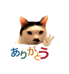 かんた様（個別スタンプ：5）