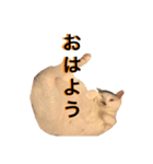 かんた様（個別スタンプ：9）