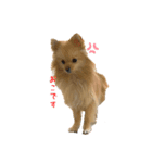 お姫様気分のかまってクレちゃん（個別スタンプ：8）