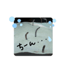 可愛い毎日♪（個別スタンプ：1）