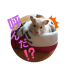 可愛い毎日♪（個別スタンプ：3）