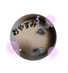 可愛い毎日♪（個別スタンプ：4）