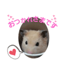 可愛い毎日♪（個別スタンプ：5）