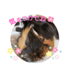 可愛い毎日♪（個別スタンプ：6）